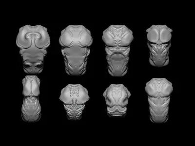 40 Creature Bust  Zbrush IMM Pack 3D model