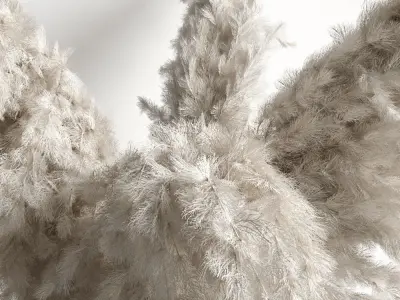 Decorative set with dry plants 4 3D model