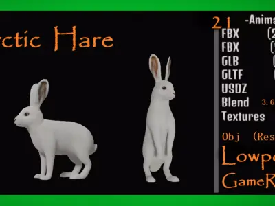 Arctic Hare Low-poly 3D model