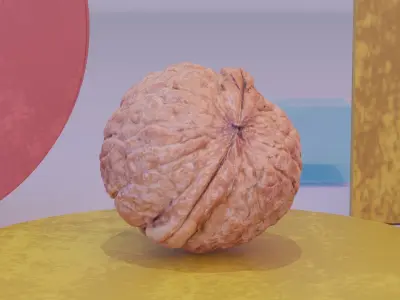 Walnut fruit 02 high-poly 3D model