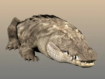Crocodile Realistic Rigged 3D model