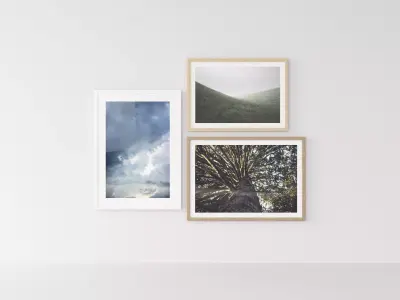 Picture Frames Nature II 3D model