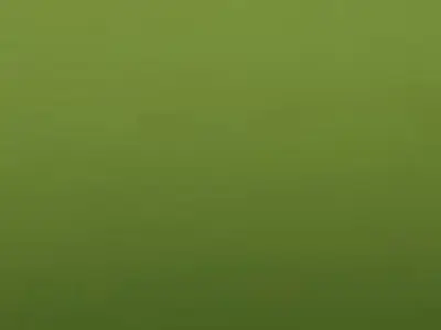 decorative bottles 3D model