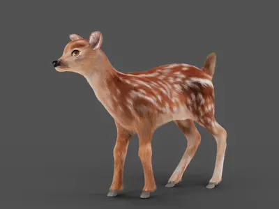 Fur Fawn Deer Rigged Blender Low-poly 3D model