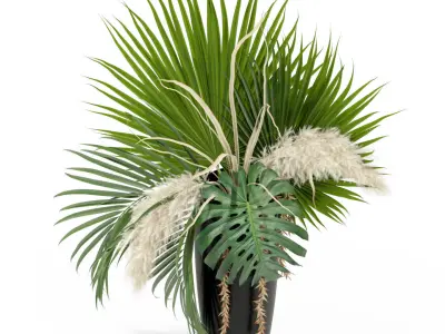 Plants collection 368 3D model