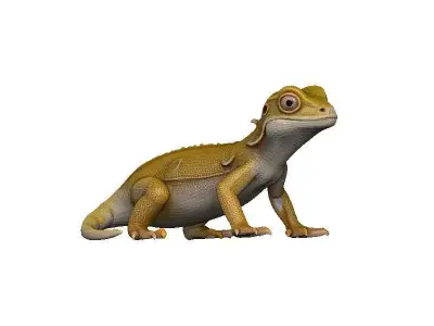 Gecko Low-poly 3D model