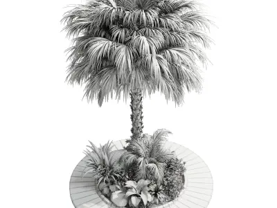 Palm garden - Outdoor plant Collection 138 Low-poly 3D model