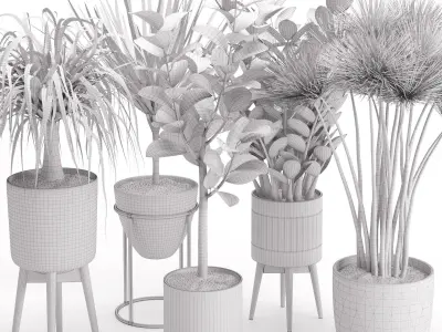 Houseplant 29  3D model