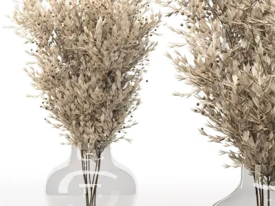 Dry Flowers Set -09 3D model