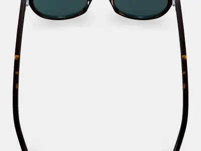 Haskell Sunglasses in Whiskey Tortoise 3D model