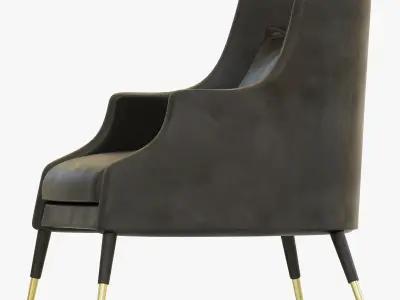 Delightfull ELIS ARMCHAIR 3D model