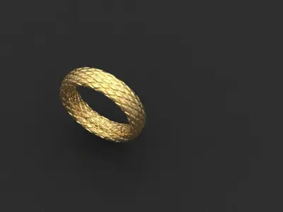 2 Rings stone cut shape and pattern shape 3D print model