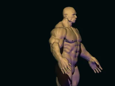 bodybuilder base mesh  Low-poly 3D model