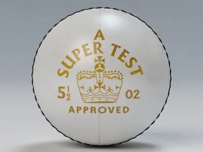 Cricket Ball Stress 3D model