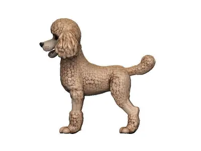 Poodle Low-poly 3D model
