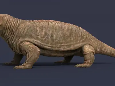 Diadectes sideropelicus Low-poly 3D model