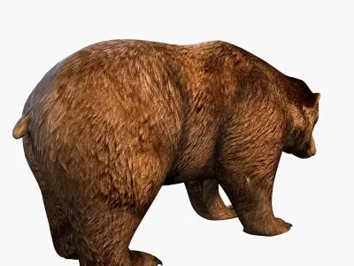 Bear brown Low-poly 3D model