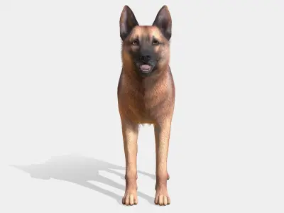 Dog - Shepherd Low-poly 3D model
