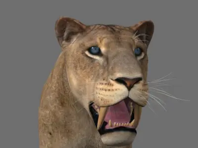 Sabretooth - 3d model lion 3D model
