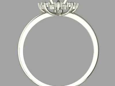 PRESSURE SETTING RING 19 3D print model