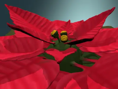Poinsettia low poly Low-poly 3D model