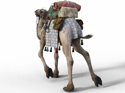 Camel With Package - Rigged 3D model