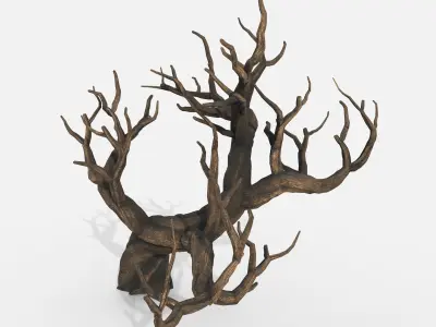 Aquarium Snag V31 3D model