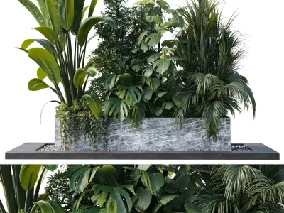 Outdoor plant box- Trees and shrubs in pot Set 145 Low-poly 3D model