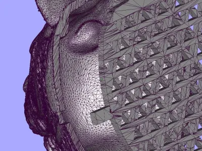 Tiger head 3D print model order