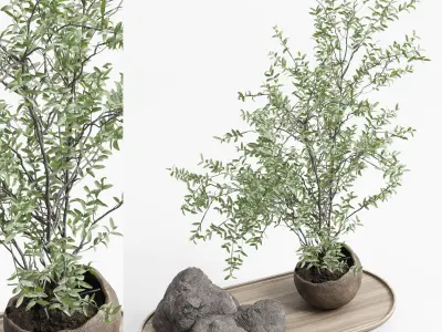 Pulm branch in dirty brown concrete vase - bouquet set 37 Low-poly 3D model