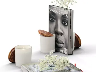 Decor flower Gypsophila books candle Set 45 3D model