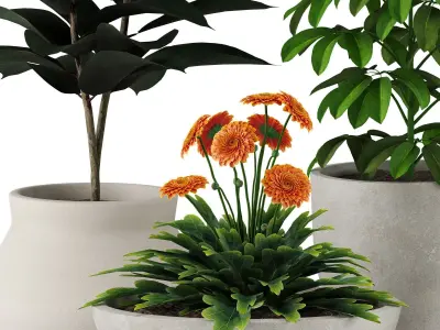 Indoor Plant Set 001 3D model