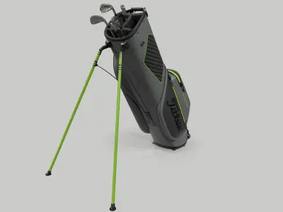 Titleist Gray-Green StaDry Golf Bag Plus 3D model