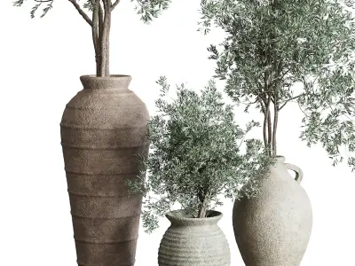 Olive tree in an old earthenware vase indoor collection 278 3D model