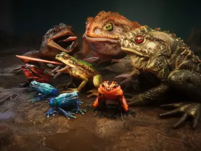 Frogs pack Low-poly 3D model