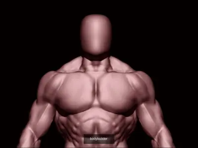 base mesh collection  3D Model Pack