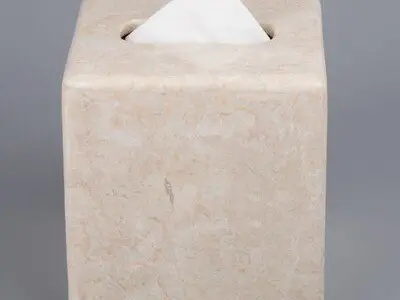 Coro Champagne Magwood Tissue Box Cover Free 3D model