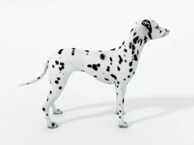 Dalmatian dog Low-poly 3D model