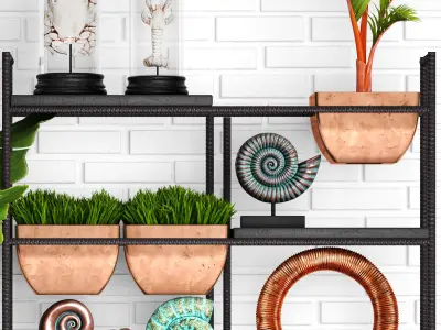 Decorative Set potted plants on shelf 3D model