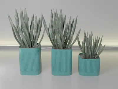 pot plant succulent 15 3D print model