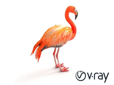 Flamingo Tropical Creature model pack Low-poly 3D model