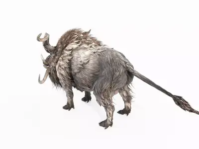 Wildlife Wild Boar King 3D model
