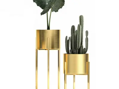 Houseplants in a gold pot for the interior 907 3D model