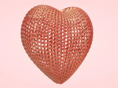 Heart Cage 3D model