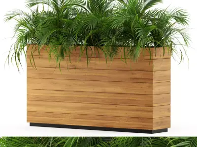 Plants collection 462 3D model