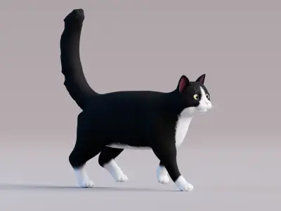 Low Poly - Stylized cats - Bicolor Cat Low-poly 3D model
