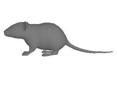 Low Poly Mouse rat Low-poly 3D model purchase