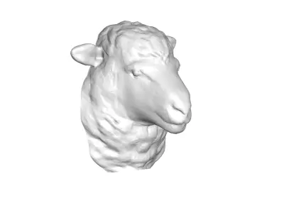 Sheep Head 3D model