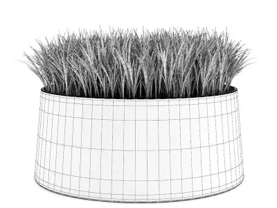 Decorative Grass 3D model