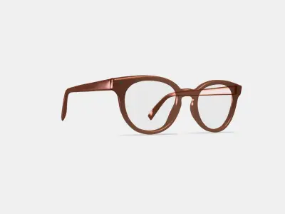 Taye Eyeglasses in Buckwheat 3D model